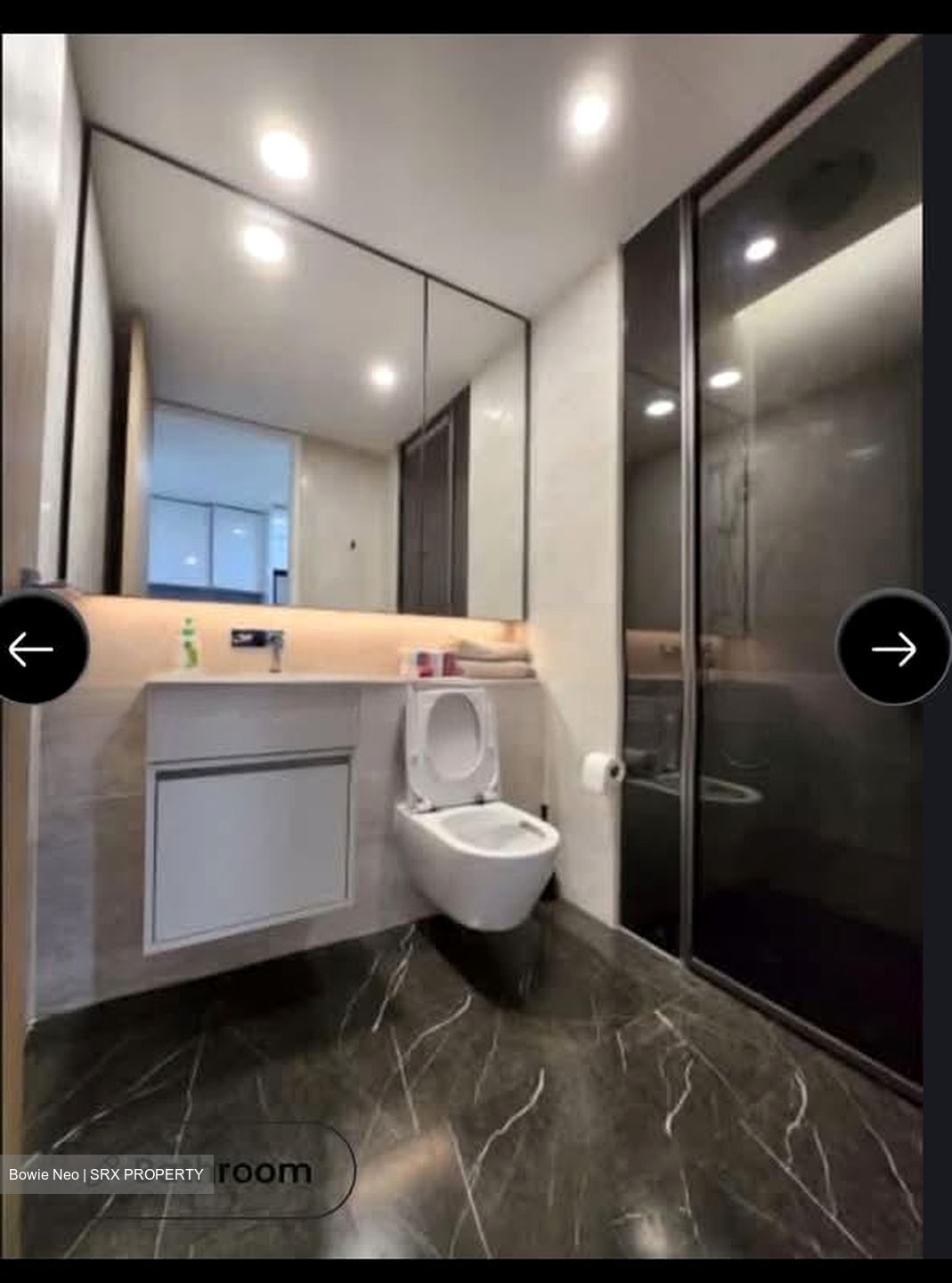 Amber Park (D15), Condominium #600676581